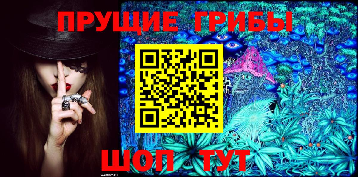 Псилоцибиновые грибы мухоморы Вологда